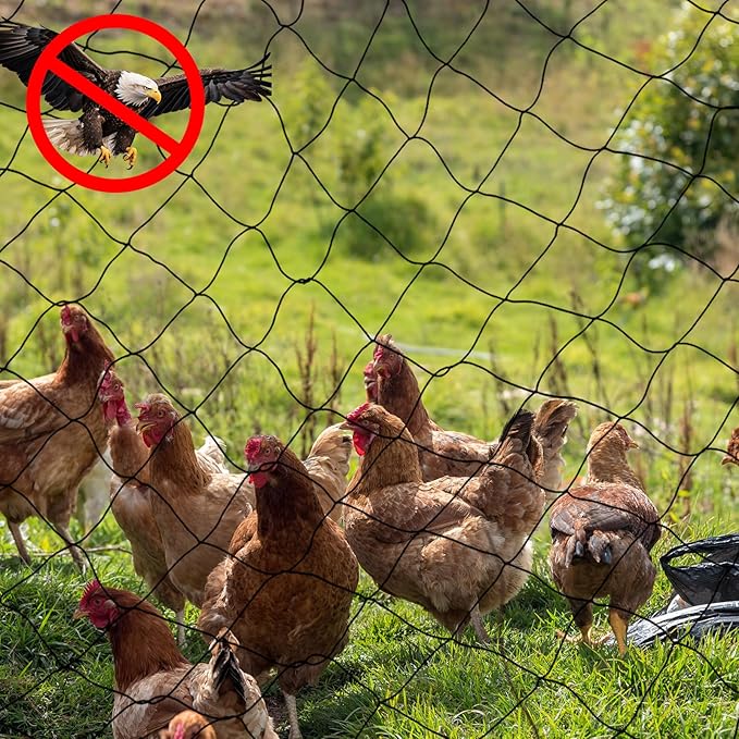 Windyun 2 Pcs Bird Netting Bird Net Chicken Coop 2.4" Mesh Heavy Duty Deer Fence Aviary Net Reusable Fruit Tree Poultry Barrier for Garden Protection Vineyard Against Hawk Squirrel, Black (50' X 100')