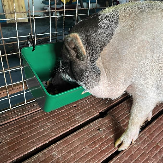 Large Feed Trough and Goat Feeder - 2 Pack Hanging Feeder with Clips, Waterer Bucket, Fence Feed Trough, Goat Supplies, 10 Quart