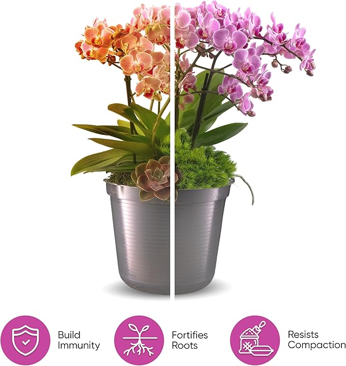 Molly's Orchid Potting Mix - Premium Gritty Soilless Orchid Mix - Chunky High Drainage vs Standard Potting Soil for Indoor Plants - Contains Bark, Coco Chips, Akadama, Pumice, Lava Rock 11 Liters