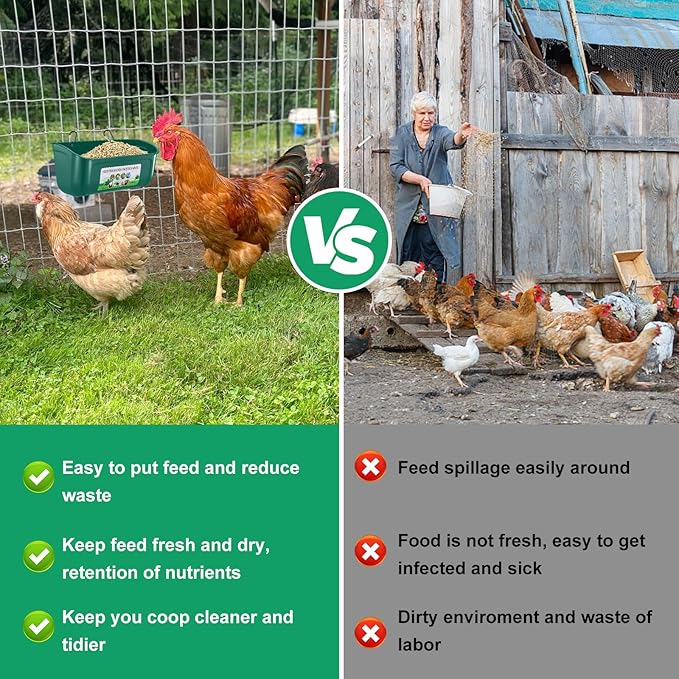 Chicken Feeder Waterer, 10 Pack Duck Feeder Supplies, Hanging Fence Feed Trough with Clips for Goat, Sheeple, Piglet, Gooses, Turkeys, Dog Livestock Poultry,Green