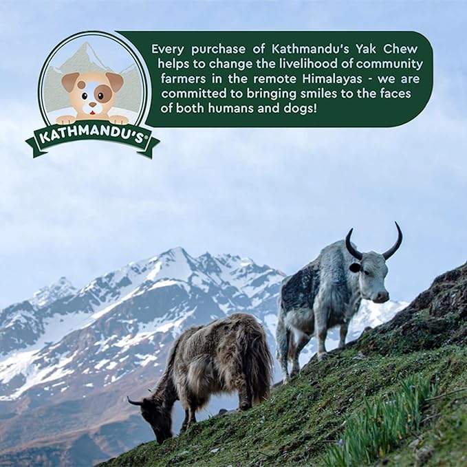 KATHMANDU'S Authentic Yak Cheese Himalayan Dog Chews - All Natural and Protein-Rich Nutrition Dog Treats, Long Lasting Chews for Aggressive Chewers, Odor & Gluten Free Yak Chew | Jumbo (Pack of 5)