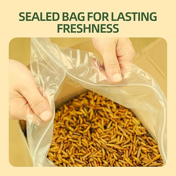 10 LB Dried Black Soldier Fly Larvae for Chickens, High Protein Chicken Feed with More Calcium Than Mealworms, Non-GMO Natural BSFL Treats for Laying Hens, Ducks, Quail, Birds & Reptiles