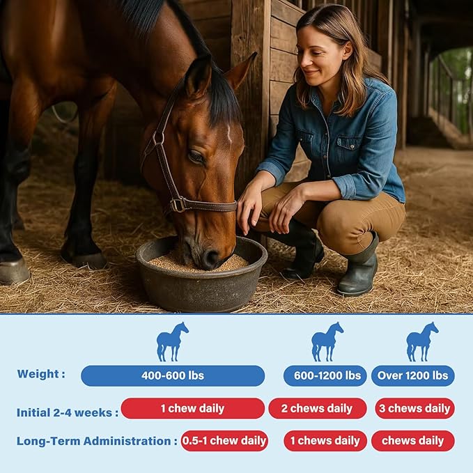 Joint Equine Supplement - Support for Joint Integrity and Inflammatory Response in Horses - Green-Lipped Mussel, MSM, Glucosamine 120 chew