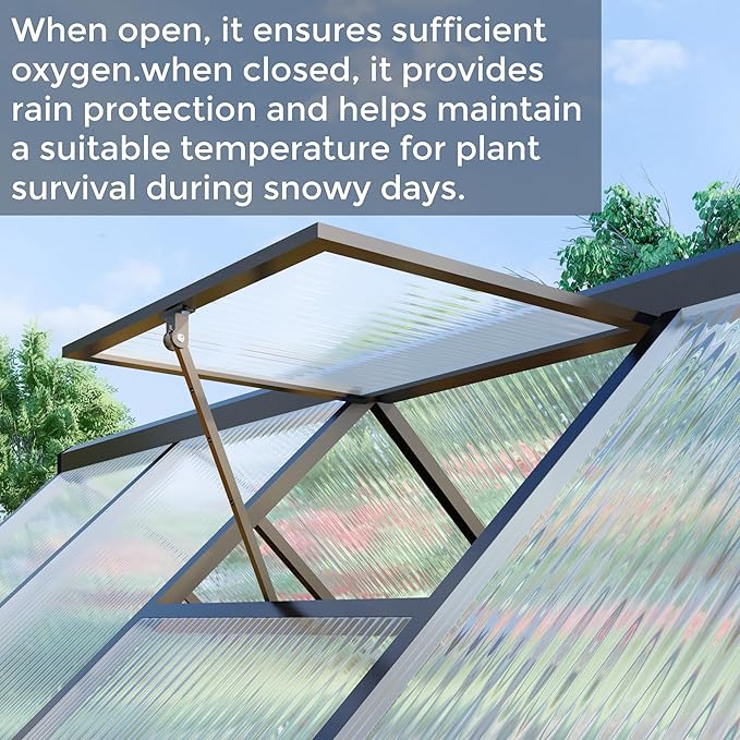 6 x 6 FT Greenhouse for Outdoors,Aluminum Large Walk-in Greenhouse,Dark Gray