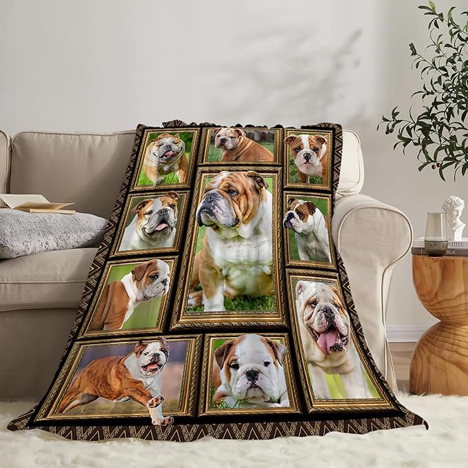 English Bulldog Blanket Gifts for Girls Boys Soft Warm Plush Dog Throw Blanket Flannel Fleece Fuzzy English Bulldogs Blanket for Kids Adults Lovers Bed Couch Living Room Decor 50"X40"
