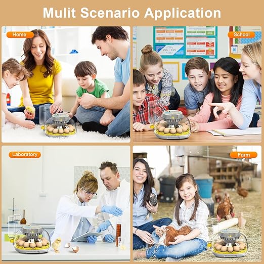 Incubator for Hatching Eggs-12 Egg Capacity, Automatic Egg Turner, Temperature & Humidity Control, 360° Viewing for Chicken, Duck and Quail Eggs