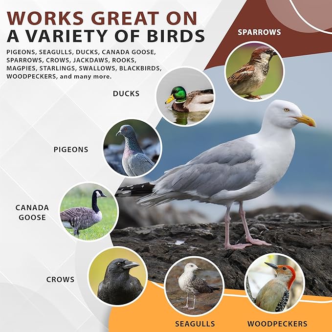 Bird Repellent Spray Concentrate, Residential Bird Problem Solution, 32 oz Concentrate, Makes up to 16 gallons