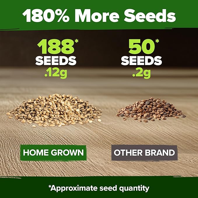 HOME GROWN Banana Pepper Seeds 2 Pack (Capsicum annuum) – 188 Heirloom Seeds, High Germination Vegetable Seeds – Growing Sweet Banana Peppers Indoors or Garden