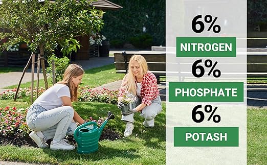 6-6-6 All-Purpose Professional Plant Food Fertilizer; Ideal for Winter Care & Spring Feeding, Perfect Balanced NPK for Indoor and Outdoor Plants (1/2 Quart)