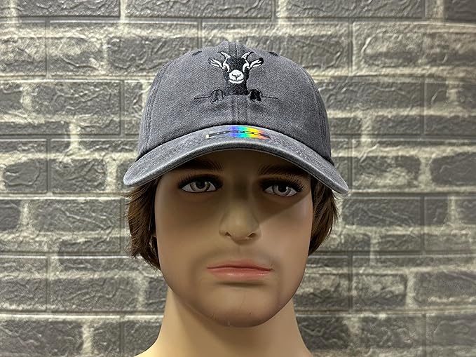 Embroidered Baseball Hats for Men and Women