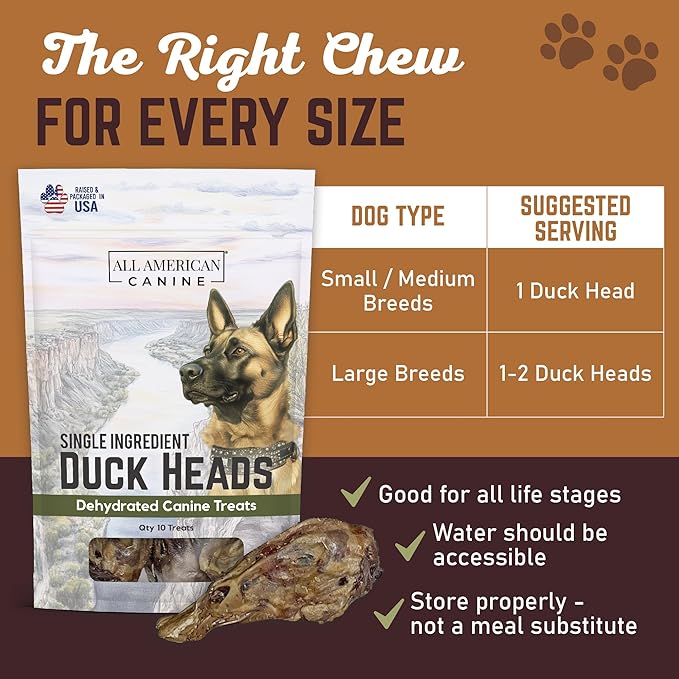 5 Natural Duck Head Dog Treats – Single Ingredient, Dehydrated & Digestible – Low-Fat, High-Protein Chew for Training & Dental Health – Made in USA
