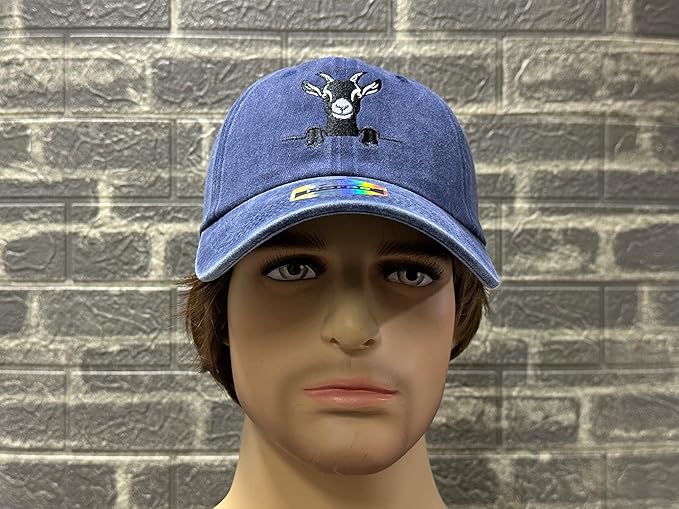 Embroidered Baseball Hats for Men and Women