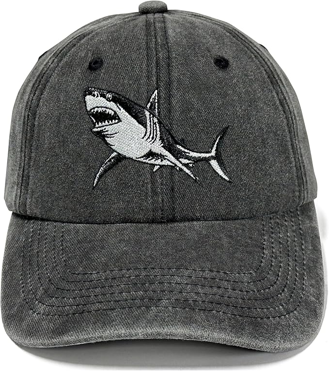 Embroidered Baseball Hats for Men and Women
