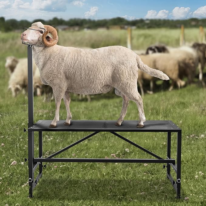 VEVOR Goat Milking Stand, 47x23 inch Livestock Stand, Metal Sheep Milking and Shearing Stand 21" to 33" Adjustable Height, with Headpiece and Nose Loop, 500lbs Loading Weight, Black