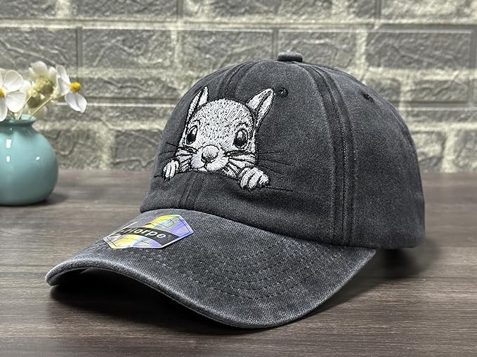 Embroidered Baseball Hats for Men and Women