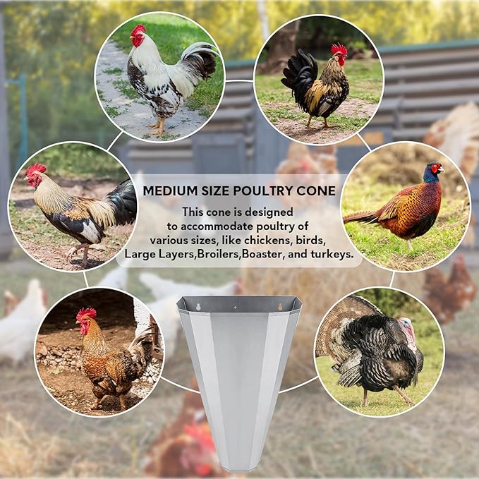 Medium Size Chicken Cone, Galvanized Steel Poultry Restraining Cone for Chicken, Broilers, Roasters, Turkeys Up to 8 Pounds, Flat-Back Poultry Killing Cone, Easy to Clean (5 Pack)