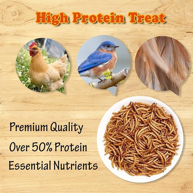 Amzey Dried Mealworms- 3.5 oz(2 Pack)- High Protein Non GMO Mealworms - Great for Turtle Food, Bird Food, Cockatiel Food, Lizard Food, Snake Food, Iguana Food, Sulcata Tortoise Diet- 3.5oz (2 Pack)
