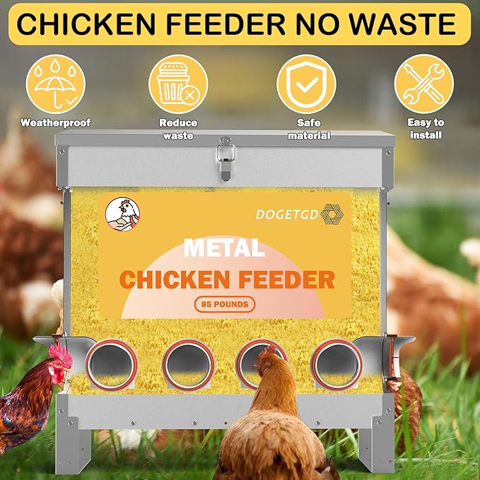 Automatic Chicken Feeder No Waste Metal Poultry Feeder Large Capacity 85 lbs for Chickens, Geese, Ducks, Turkeys, Quails (6-Port)
