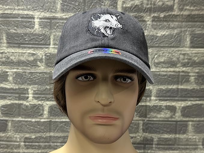 Embroidered Baseball Hats for Men and Women