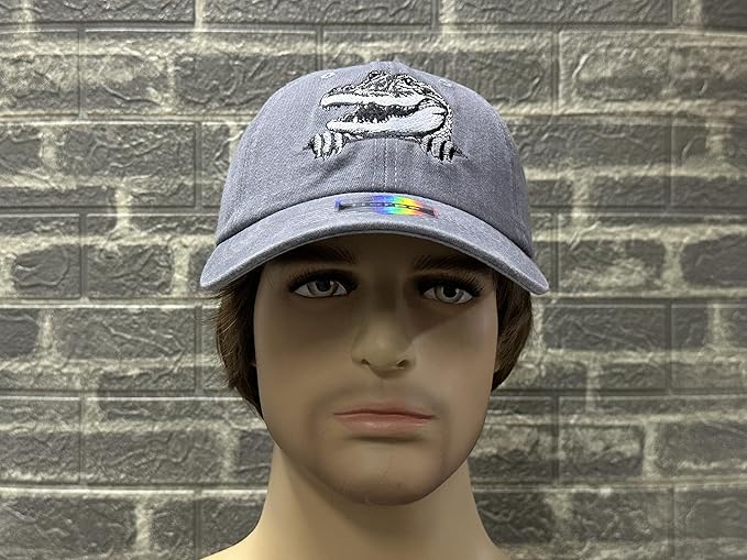 Embroidered Baseball Hats for Men and Women
