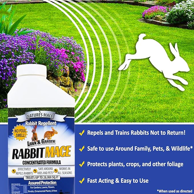 Nature’s Mace Rabbit MACE Concentrate, Deterrent for Yard, Rabbit Repellent Outdoor, Mint Rabbit Spray, Garden, Lawn, Keep Rabbits Out Safe to Use Around People, Pets, Plants, 640 Fl Oz (Pack of 1)