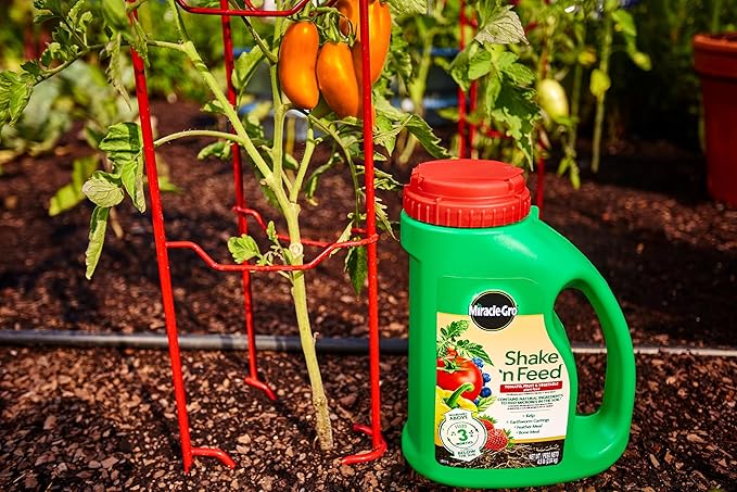 Miracle-Gro Shake 'N Feed Tomato, Fruit & Vegetable Plant Food, Plant Fertilizer, 4.5 lbs. (6-Pack)