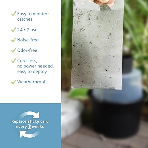 Biogents GAT2 Mosquito Trap – Non-Electric, Eco-Friendly Egg-Laying Trap for Tiger Mosquito Control – 12 Traps with 10 Sticky Cards for Outdoor Breeding Prevention