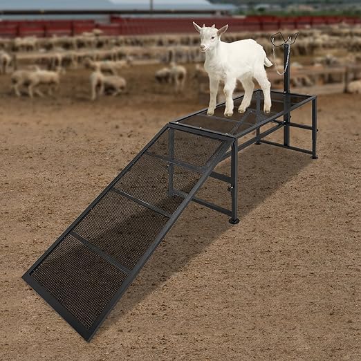 Metal Trimming Stand for Sheep Goat Livestock Stand with Adjustable Height 20.5-31.5in Milking Stand with a Ramp