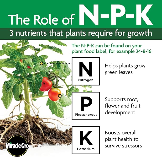 Miracle-Gro Shake 'N Feed Palm Plant Food, 8 lb., Feeds up to 3 Months