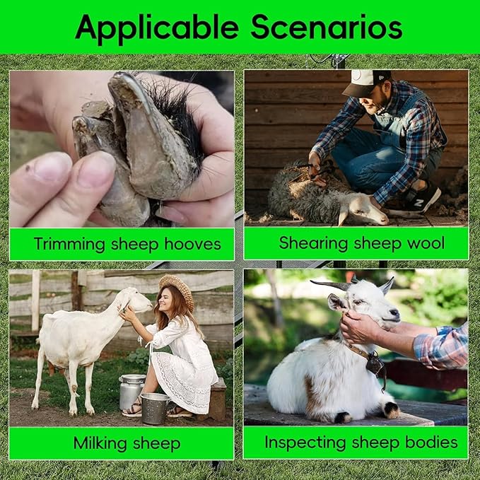 Metal Trimming Stand for Sheep Goat Milking Stand with Railings Livestock Stand with Adjustable Headpiece Goat Milking Stand for Clipping Hooves, Black