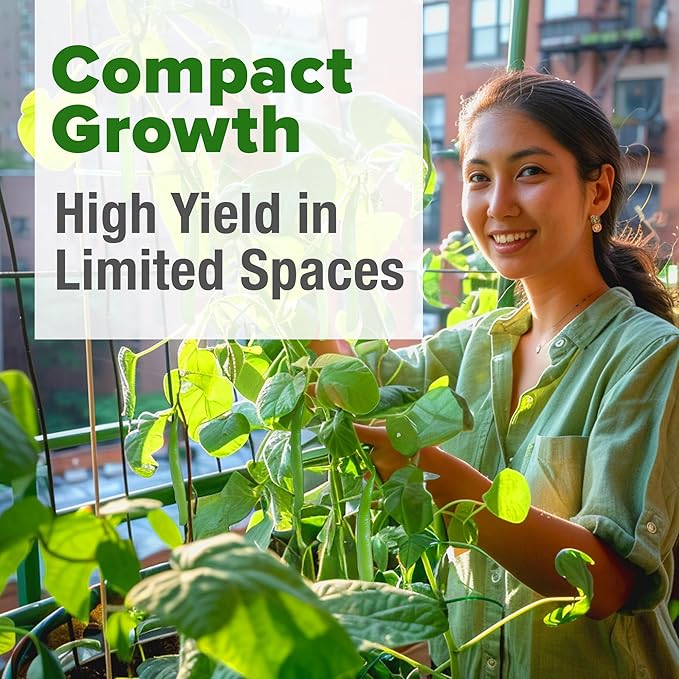 HOME GROWN Contender Bush Seeds - 56 𝗡𝗢𝗡-𝗚𝗠𝗢 𝗨𝗦𝗔-𝗦?𝗨𝗥𝗖𝗘𝗗, Heirloom Green Beans for Planting - Emergency Food Supply (Phaseolus vulgaris)