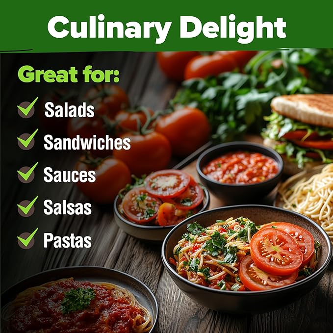 HOME GROWN Beefsteak Tomato Seed 2Pack - 600 Heirloom Tomato Seeds for Planting Outdoors – High-Yield Non-GMO Vegetable Seeds for Growing Large, Meaty Tomatoes for Summer Dishes (Solanum lycopersicum)