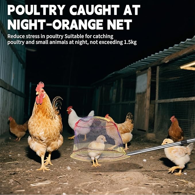 Chicken Catcher 3 in 1 Kit,Adjustable from 33" to 79" Chicken Net with 2 Folding Catching Nets & Chicken Leg Hook.Suitable for Catching Chicken,Ducks,Fish,Birds,Poultry and Animals（15.3" x 23.2" Net）