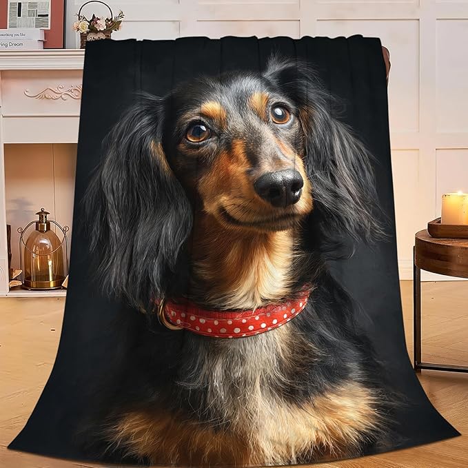 Long Haired Dachshund Blanket Dog Lovers Gifts Cozy Plush Weiner Dog Throw Blankets Fuzzy Flannel Fleece for Girls Boys Women Men 50"X40"
