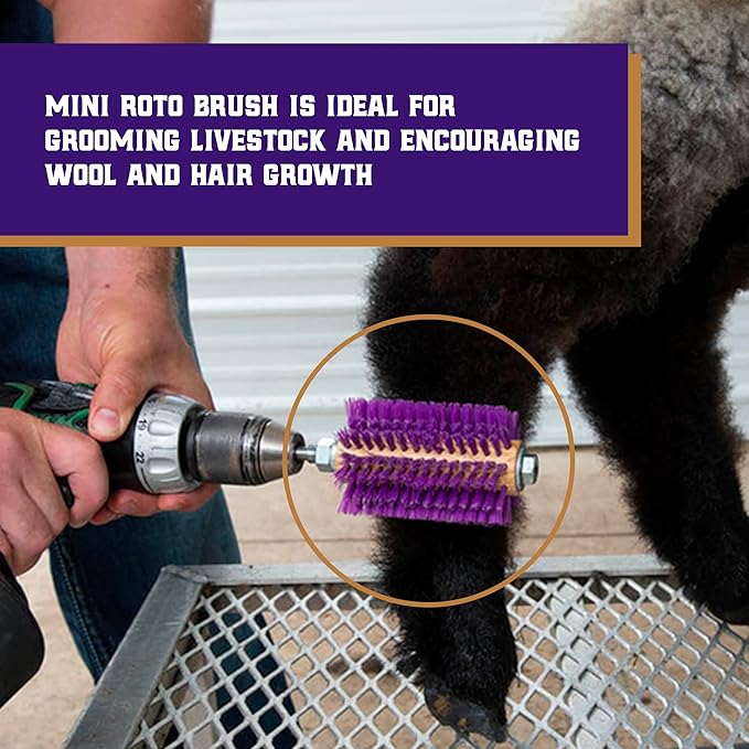 Weaver Leather Mini Roto Brush for Livestock, Wool/Hair Stimulating and Grooming Brush for Goat Sheep Cattle, Use with Drill, Coat Deshedding Tool