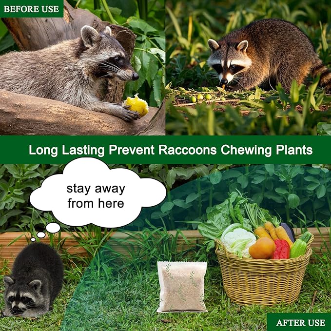 Natural Raccoon Repellent Granules | Eco-Friendly, Non-Toxic & Long-Lasting Protection with Garlic, Peppermint & Wintergreen Oils | Safe for Pets and Children |6-Pack (25g per Bag)