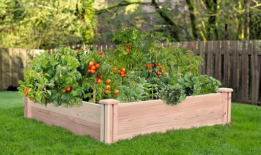 Cedar Raised Garden Bed, 4ft x4ft, 12-inch Height, Drainage, Heavy Duty, Wooden