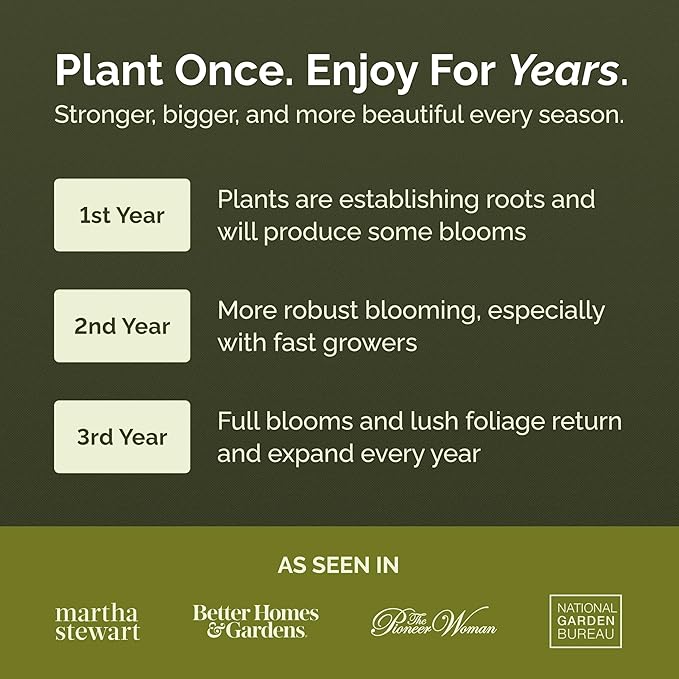 Eden Brothers All Perennial Wildflower Mixed Seeds for Planting, 50 lb, 24,000,000+ Seeds with Lupine, Shasta Daisy | Attracts Pollinators, Plant in Spring or Fall, Zones 3, 4, 5, 6, 7, 8, 9, 10