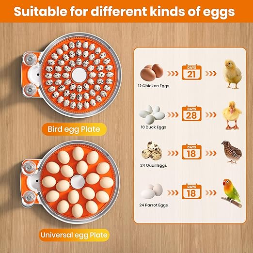 Incubators for Hatching Eggs - 18 Egg Capacity，Automatic Egg Turner，360° Viewing，Temperature & Humidity Control，Dual Size Egg Trays for Chicken, Duck, Goose, Turkey, Quail, and Parrot Eggs