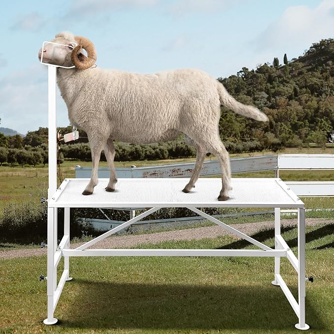 Goat Milking Stand Goat Stand Sheep Stand for Trimming Metal Livestock Stand with Adjustable Headpiece Goat Shearing Livestock Stand Height Adjustable, White