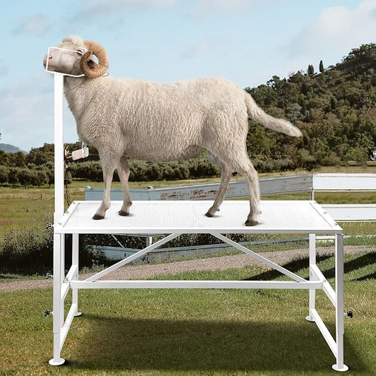 Goat Milking Stand Goat Stand Sheep Stand for Trimming Metal Livestock Stand with Adjustable Headpiece Goat Shearing Livestock Stand Height Adjustable, White