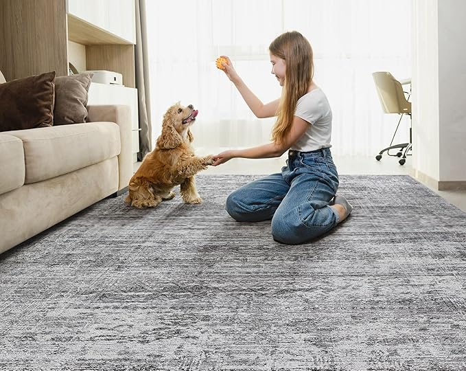 5x7 Area Rug Living Room Rugs - Washable Neutral Modern Abstract Soft Thin Rug Indoor Floor No Slip Rug Carpet for Bedroom Under Dining Table Home Office Decor - Light Gray