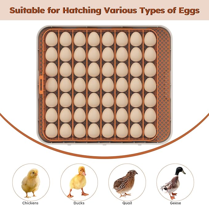 Egg Incubator for Hatching 56 Chicken, Duck, Quail & Goose Eggs – Automatic Egg Turner, Humidity & Temperature Control, Built-in LED Candler, Auto Water Refill, 360° Clear View Digital Poultry Hatcher