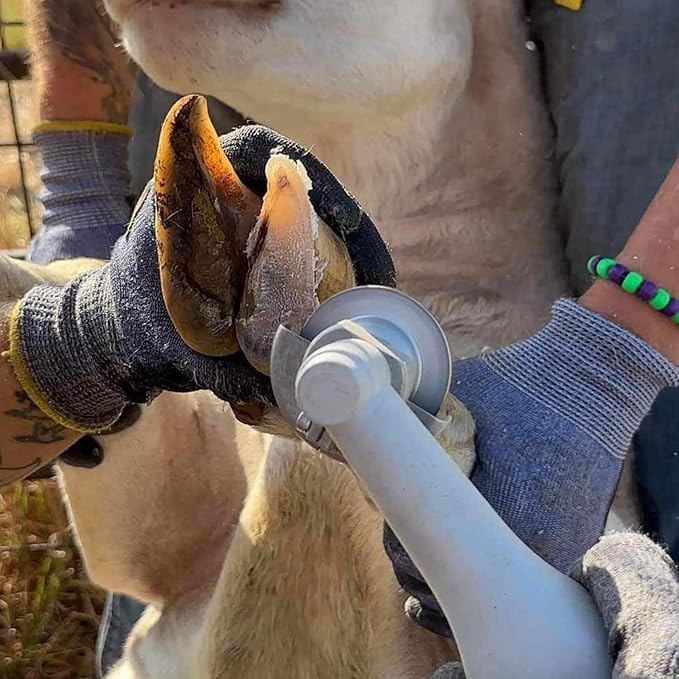 Hoof Boss - Sheep Hoof Trimmer Set - Sheep Hoof Care Trimming Set - Includes Grinder Discs and Accessories (110v Electric Complete Set)