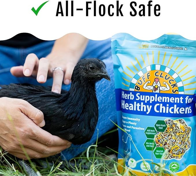 Chicken Herb Supplement Mix – Large Bundle | Garden-Fresh Botanical Treat & Nesting Box Topper for Backyard Chickens, Ducks & Quail | Aromatic Oregano, Calendula, Basil, Lavender