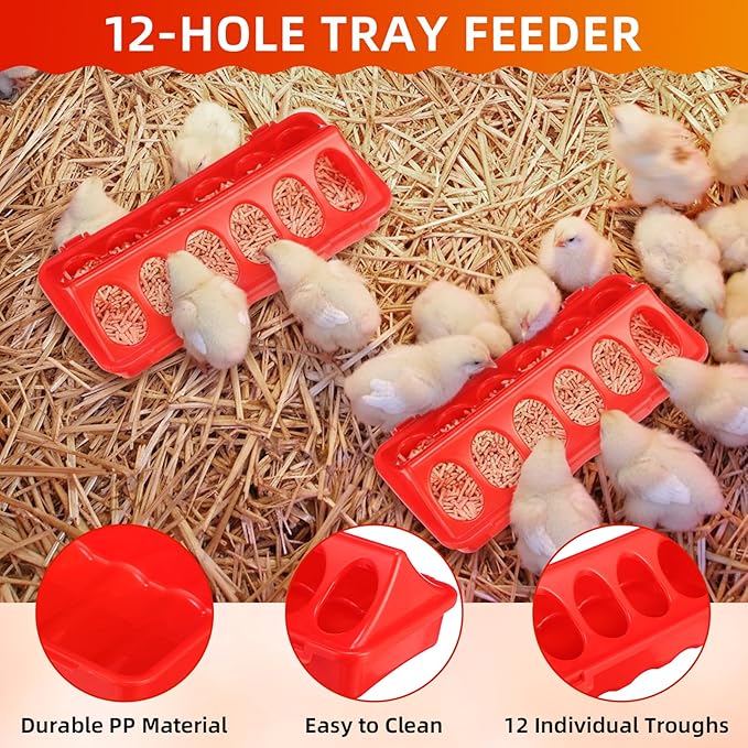 4 Pcs Heated Chicken Waterer for Winter, Poultry Feeder, Poultry Heated Constant Temperature Fountain with Leg Support for Chicken Coop Chicks Birds(3l)
