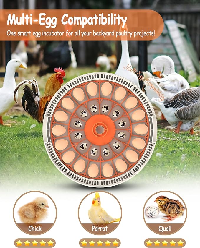 30 Egg Incubators for Hatching Eggs with Automatic Egg Turner, Auto Temperature Control, LED Candling, Humidity Monitor, 360° Viewing for Chicken Quail Parrot Birds