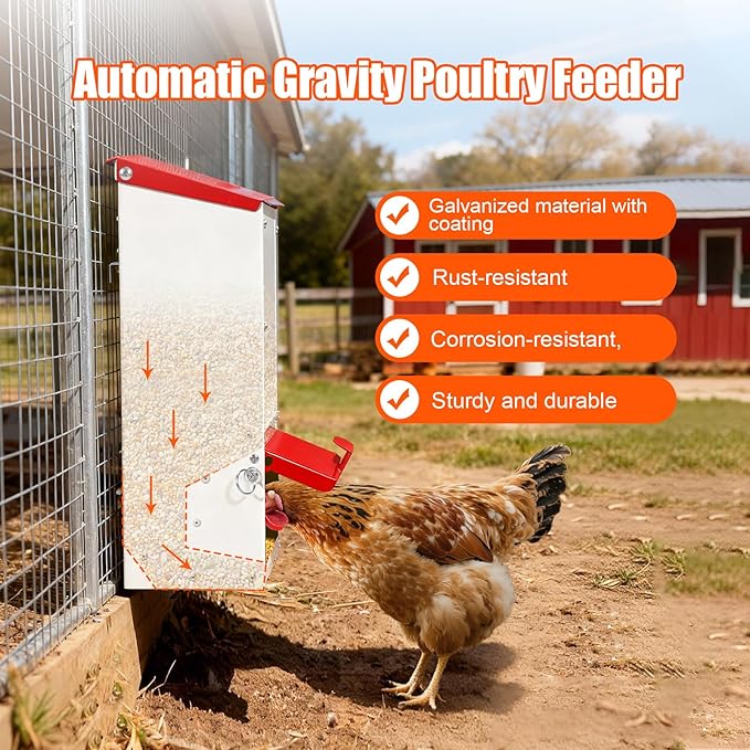 Metal Chicken Feeder No Waste Oyster Shell Feeder 8lbs Hanging Poultry Feeder Automatic Gravity Chicken Food Dispenser with a Lockable Rain Cover
