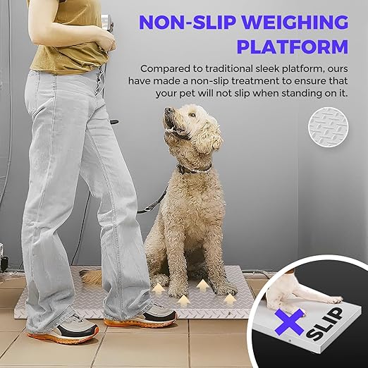 Bonvoisin Dog Scale for Large Breed Animal Livestock Weight Scale with Large Stainless Steel Platform, 1100lb X 0.2lb Postal Shipping Scale Pet Scale for Dog, Cattle, Sheep