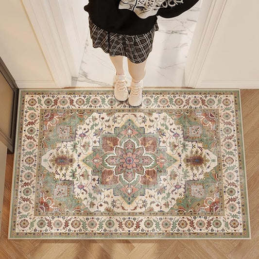 Area Rug 2x3 Door Mat,Washable Rugs,Stain Resistant Soft Thin Rug,Vintage Home Decor Non-Slip Rugs,for Bedroom,Office,Farmhouse,Front Door,Entryway